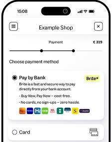 Brite Instant Payments
